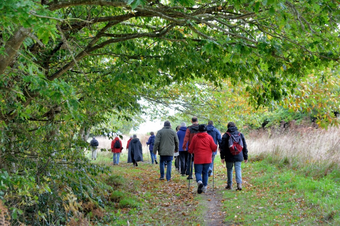 Milton Mosey – A physio-led walking group